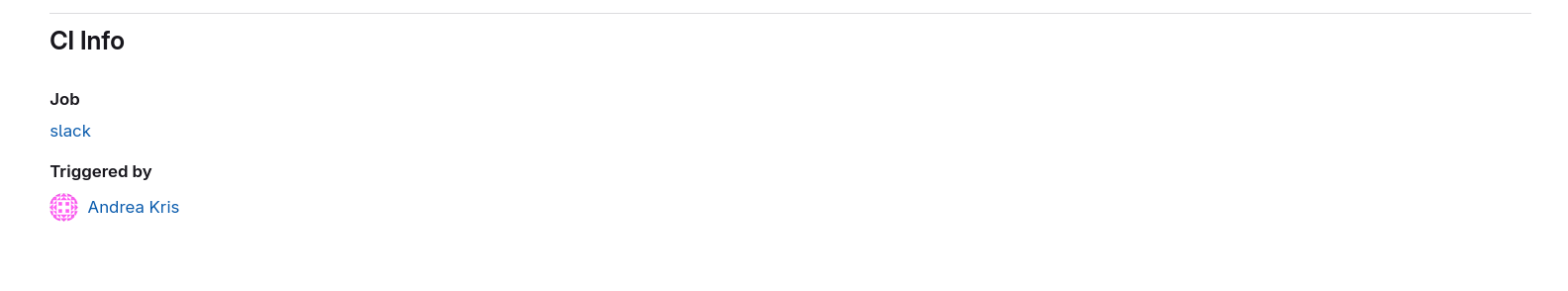 CI information in run detail